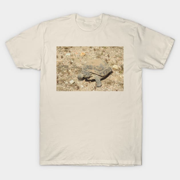 Desert Tortoise, Turtle, Reptiles, Wildlife, Reptilian, Gifts T-Shirt by sandyo2ly